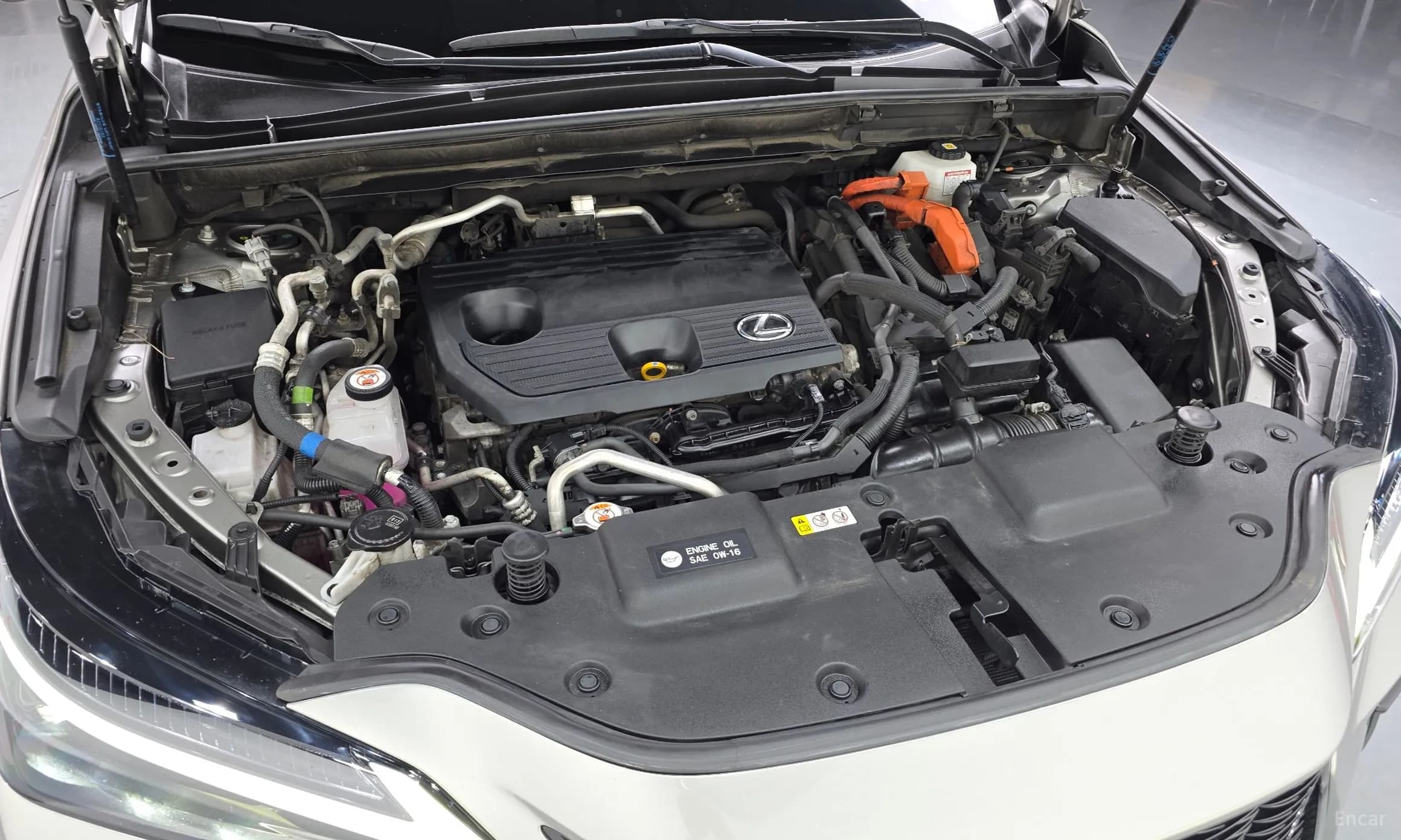 NX450h + 2nd Gen