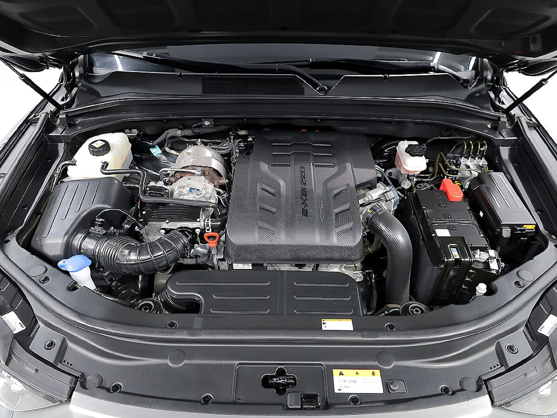 Rexton Sports
