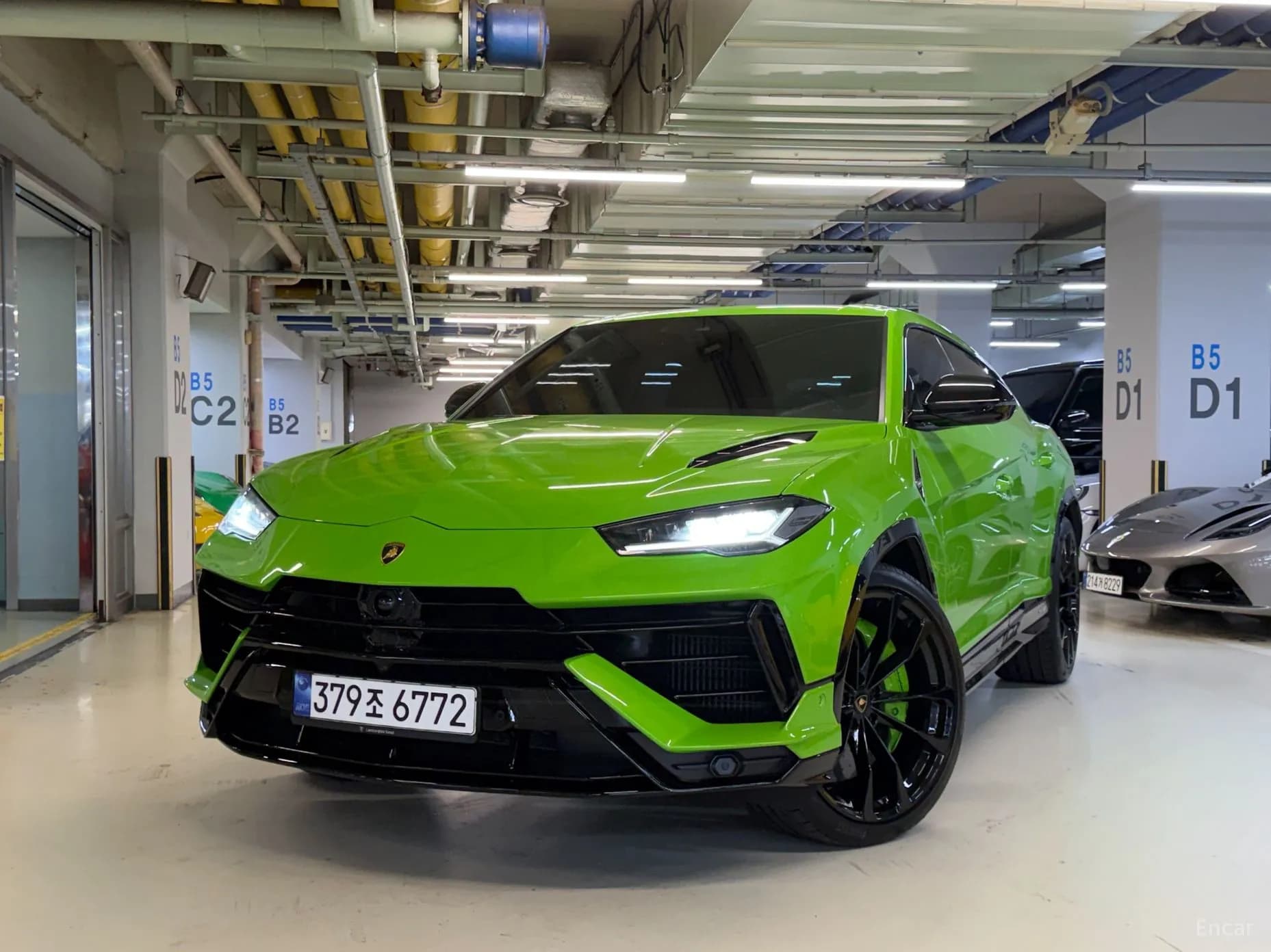 Urus