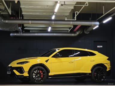 Urus