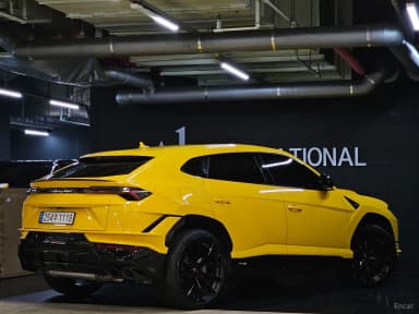 Urus