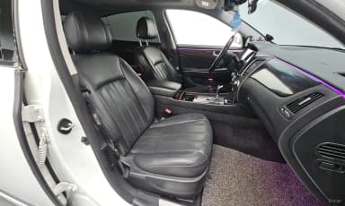 Equus (new)