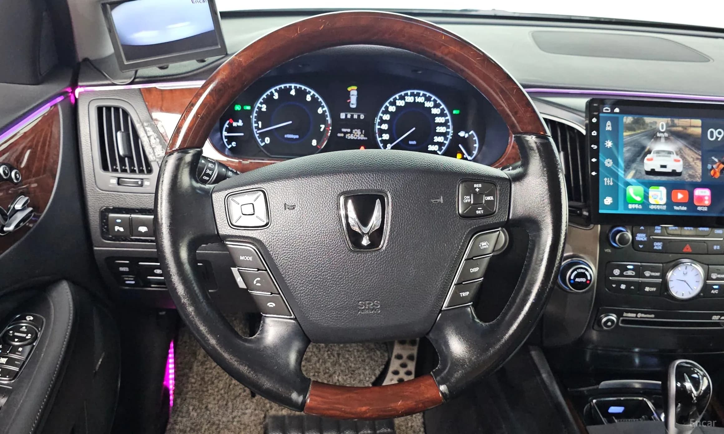 Equus (new)