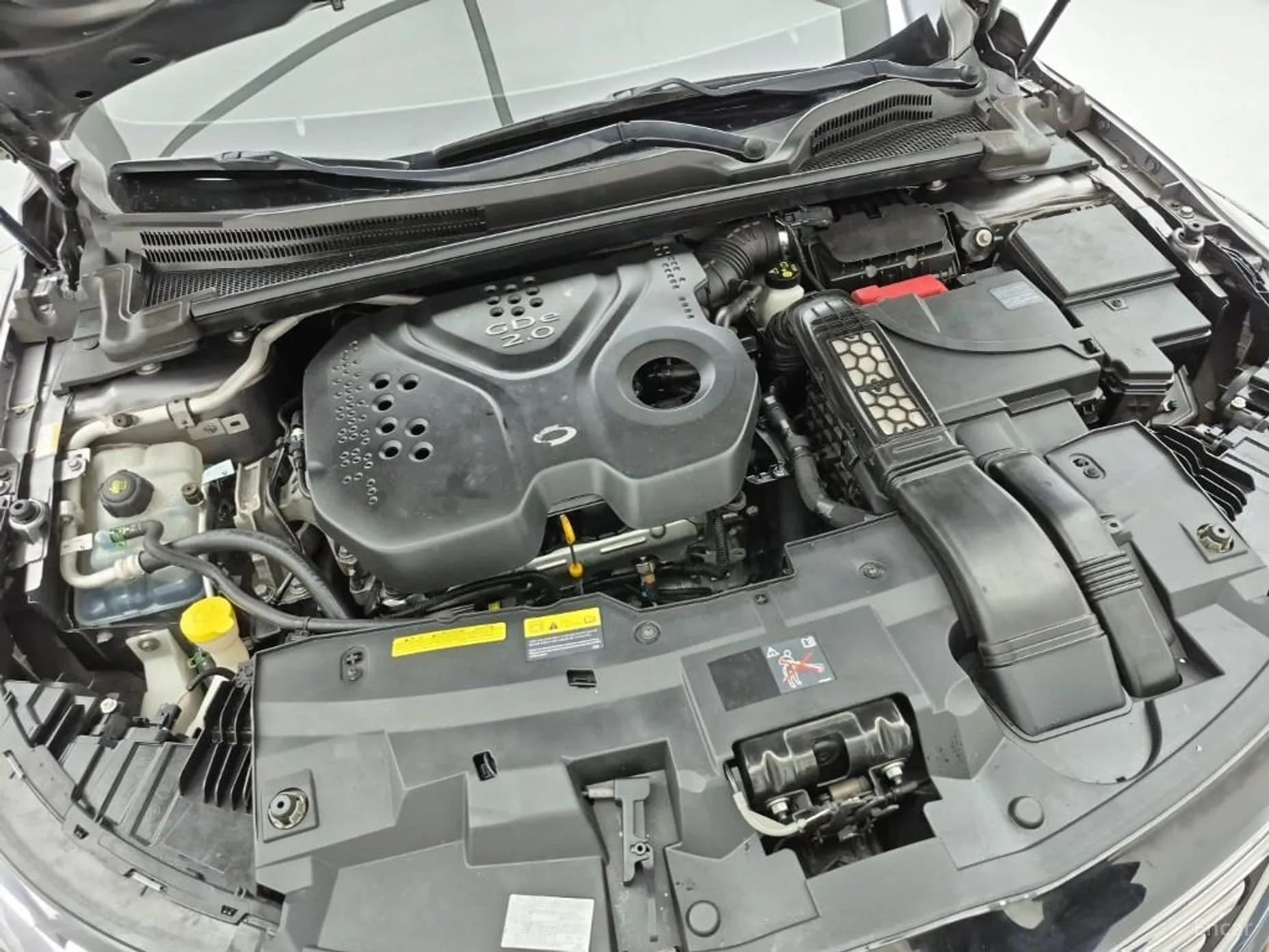 SM6