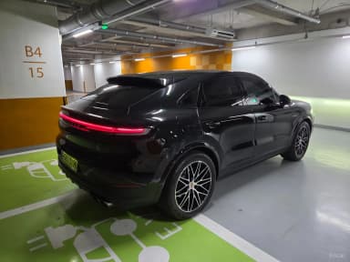 Cayenne (PO536)