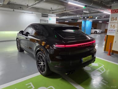 Cayenne (PO536)
