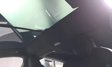 Model X