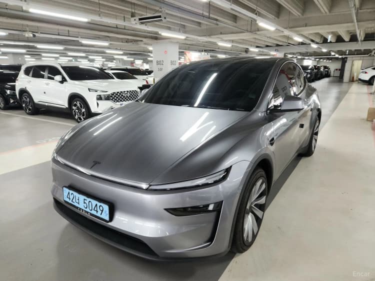 Model Y