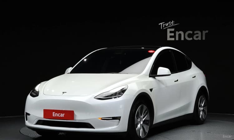 Model Y