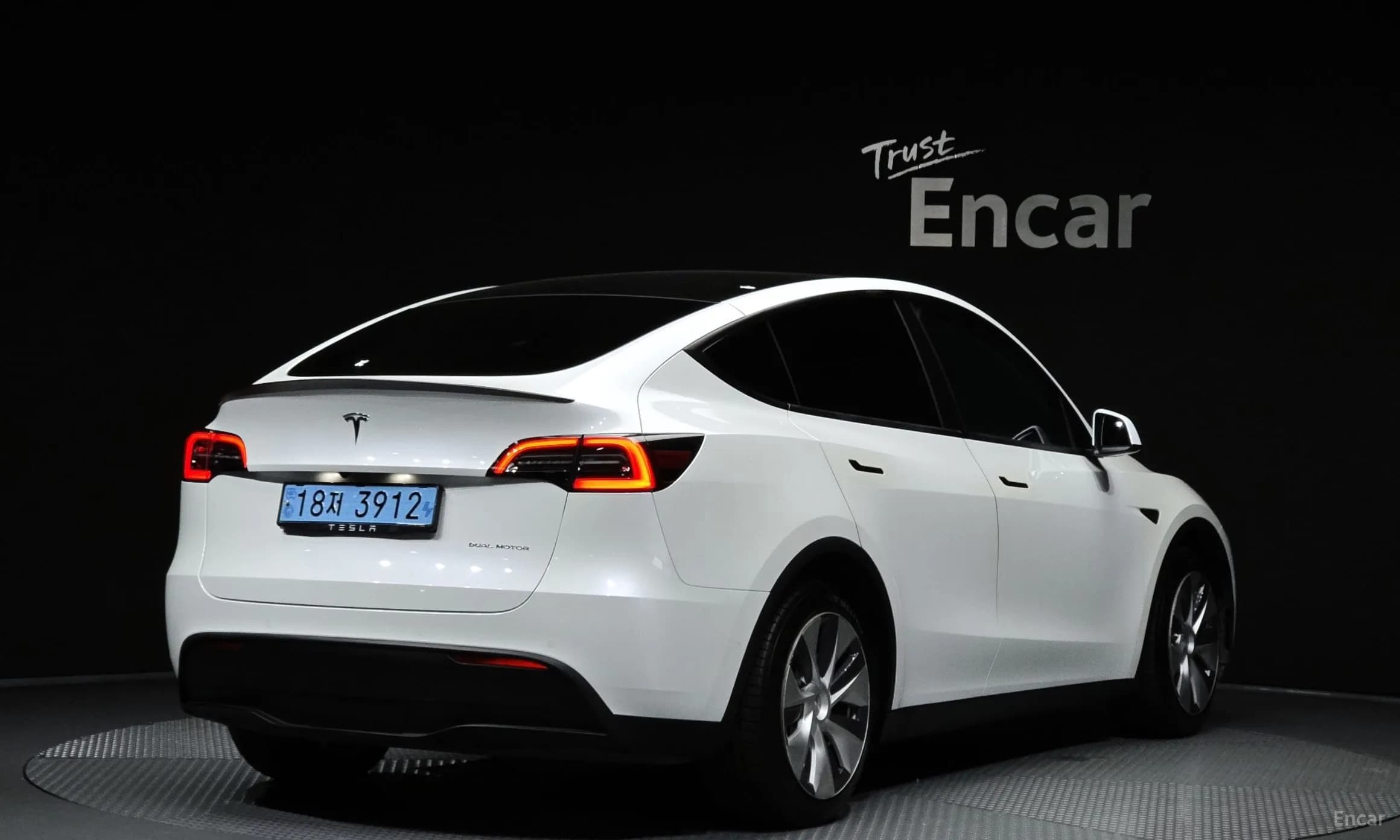 Model Y
