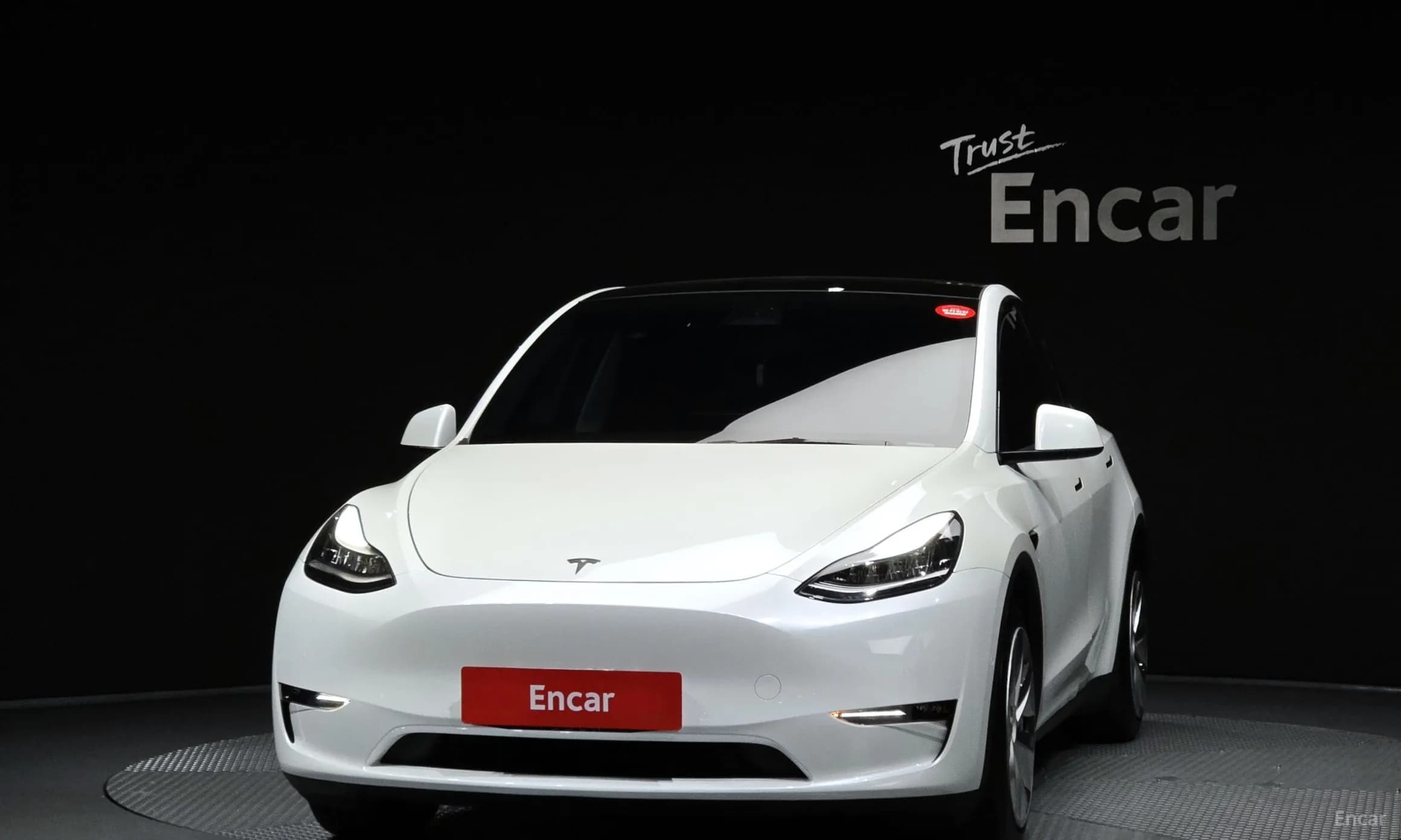 Model Y