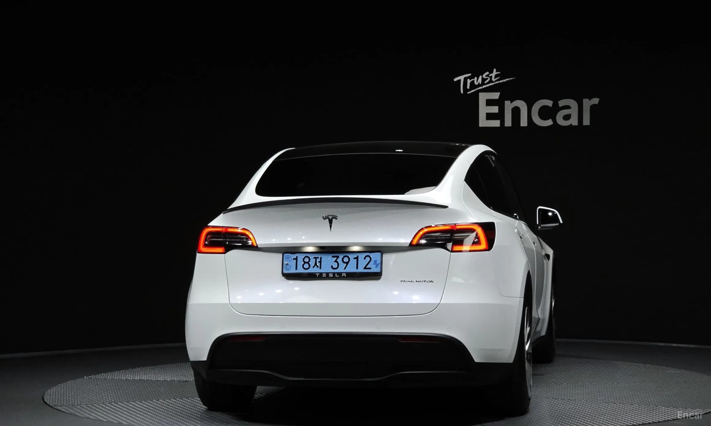 Model Y