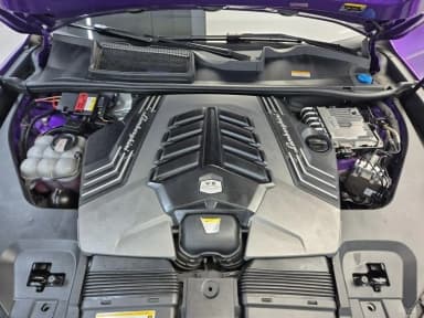 Urus