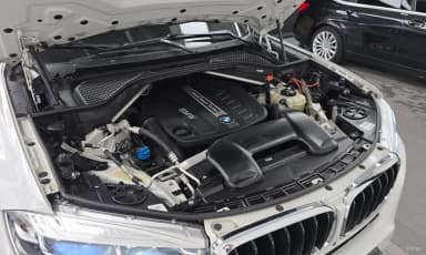 X6 (F16)