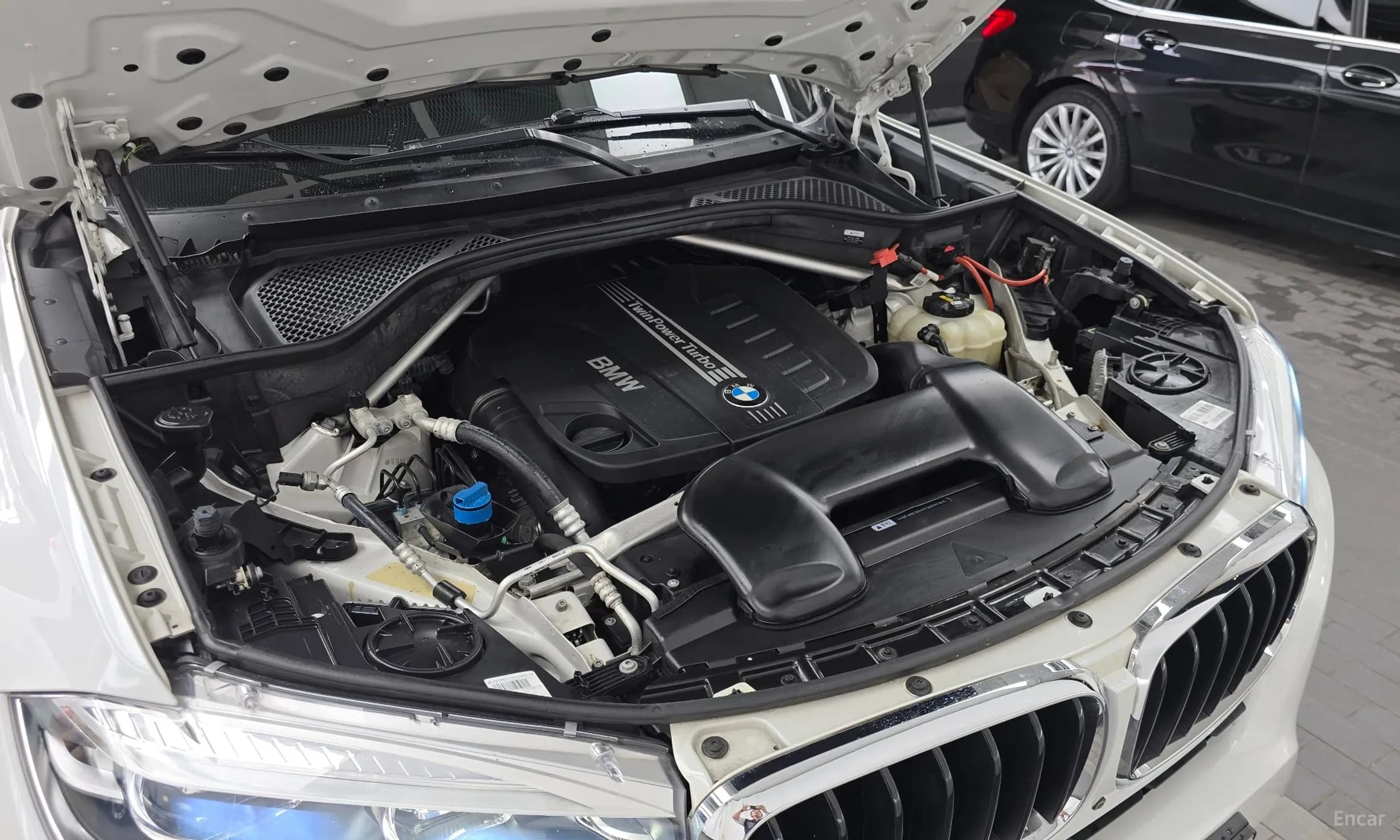 X6 (F16)
