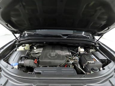 Rexton Sports