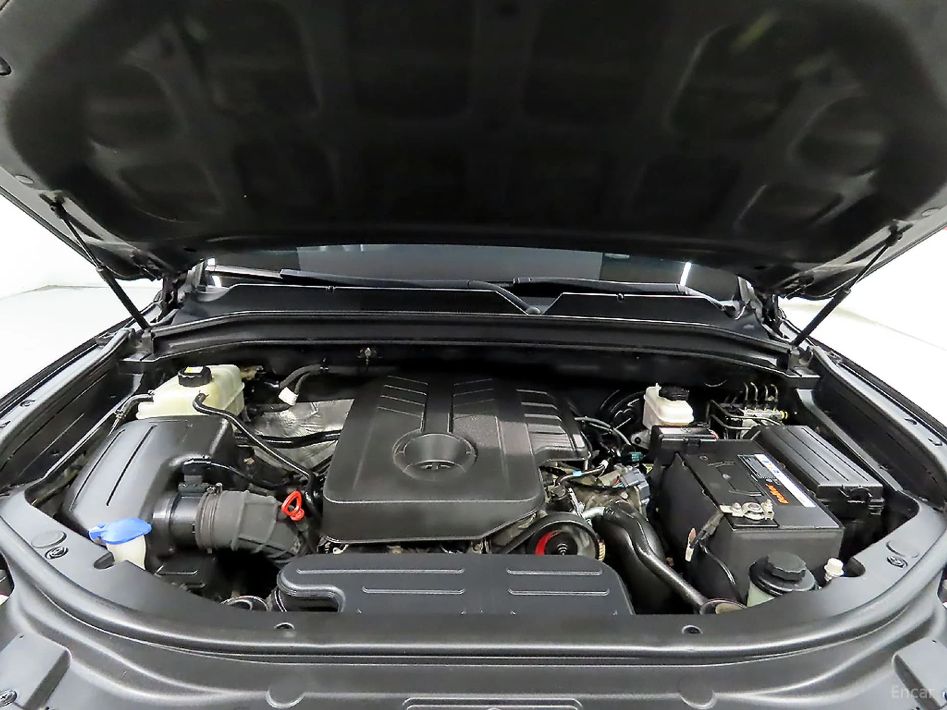 Rexton Sports