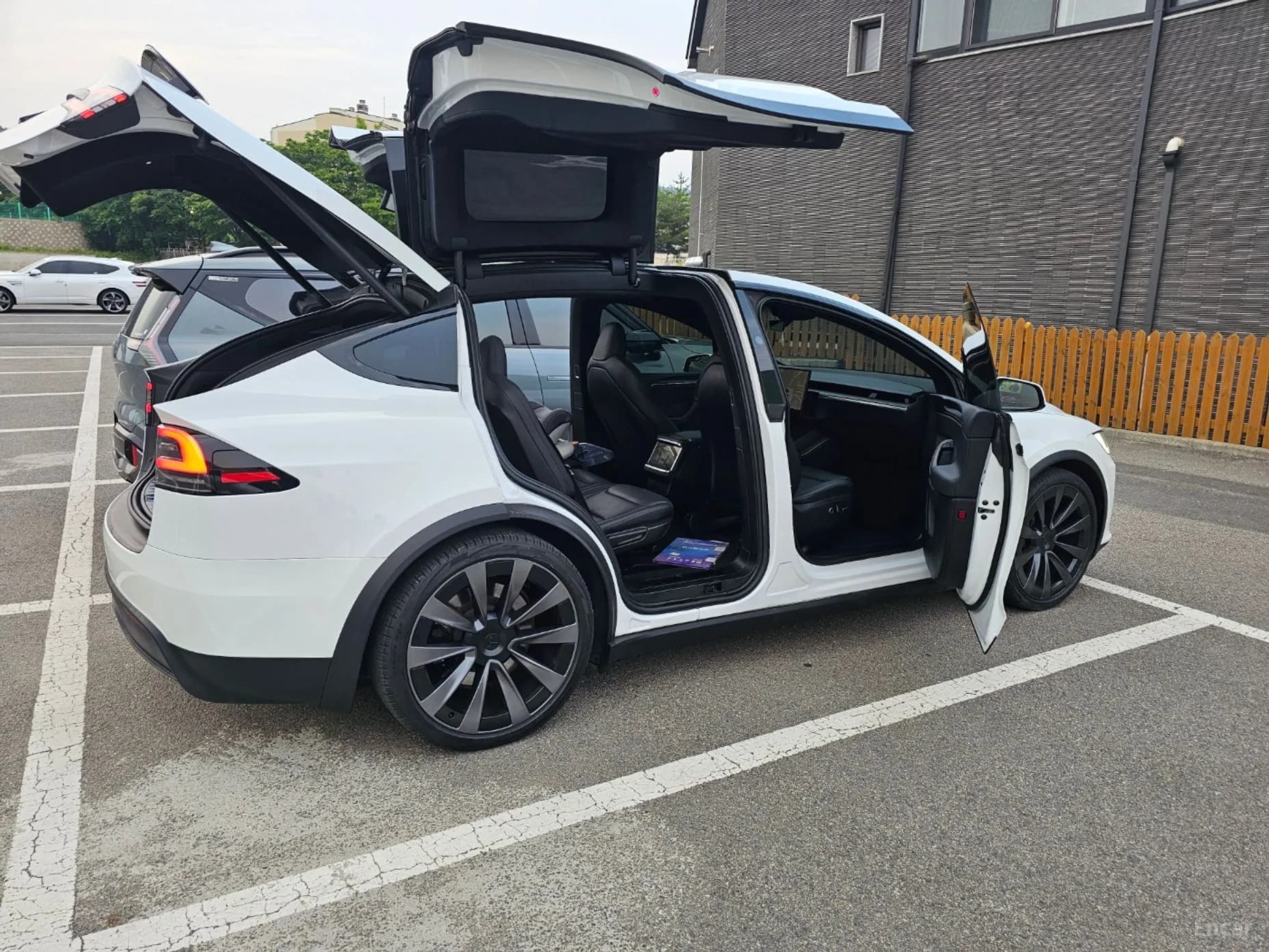 Model X