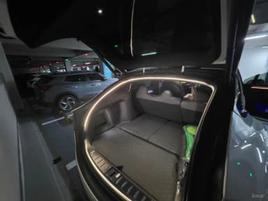 Model X
