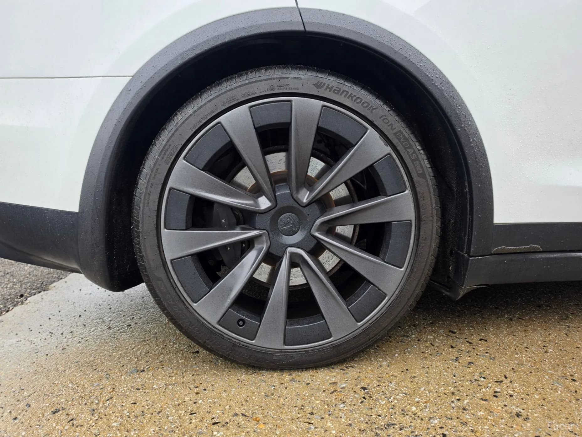 Model X