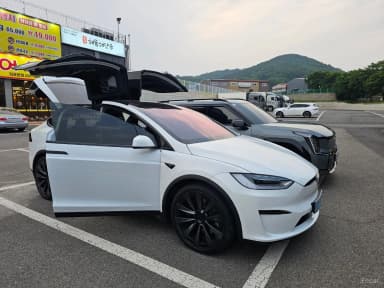 Model X