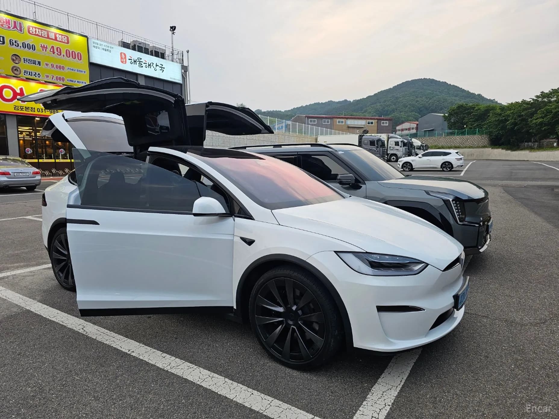 Model X