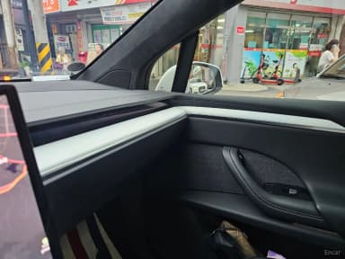 Model X