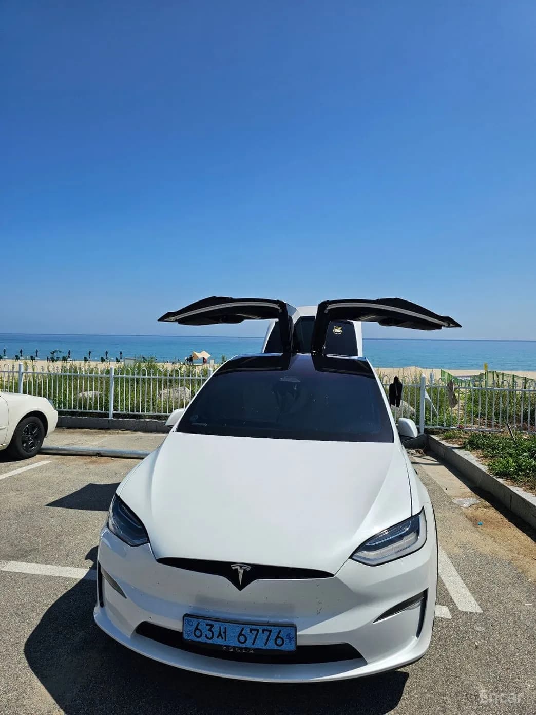 Model X