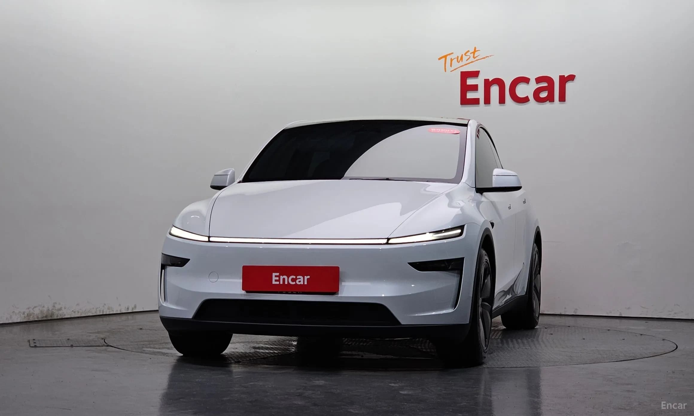 Model Y