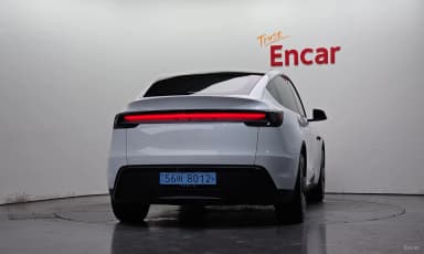 Model Y