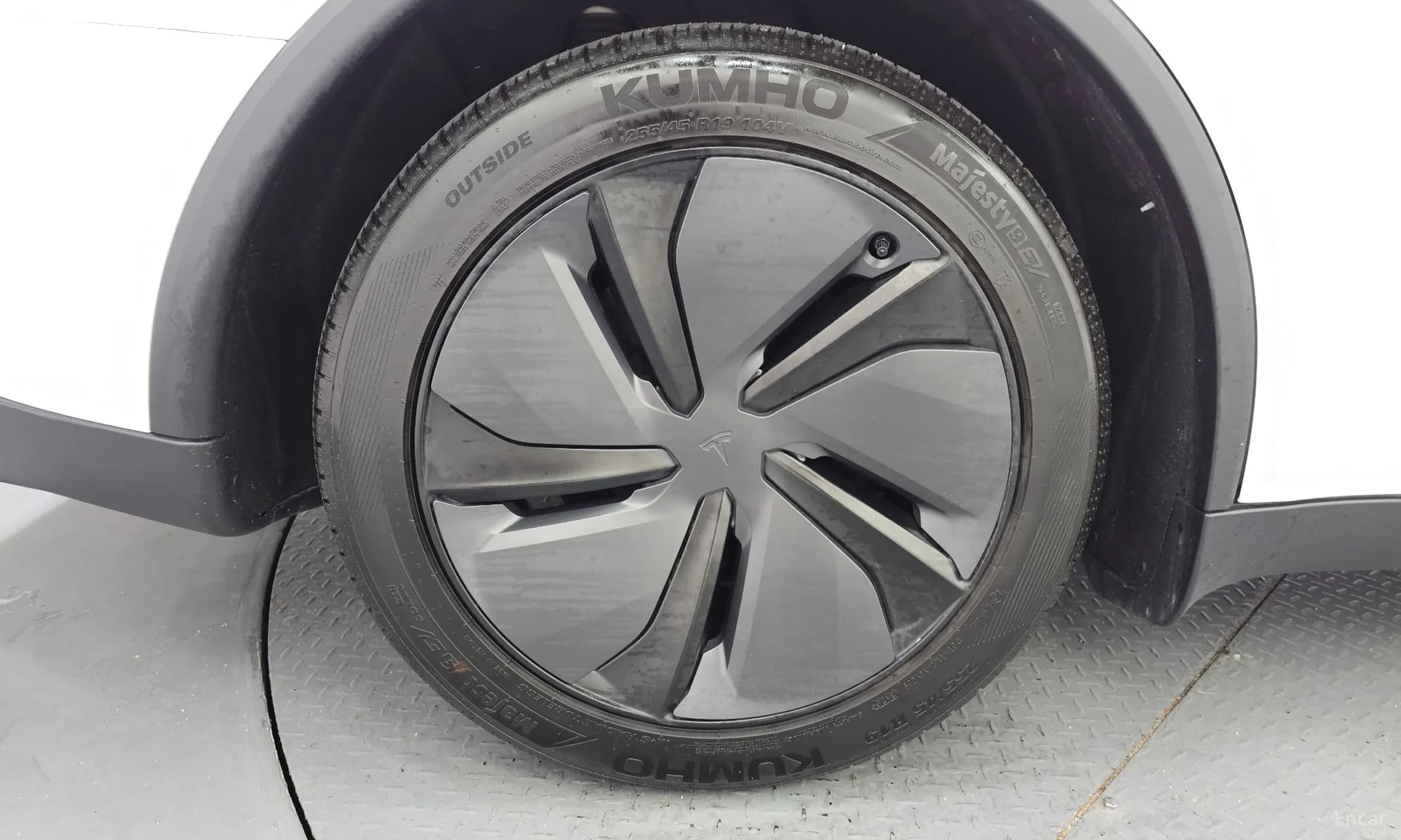 Model Y