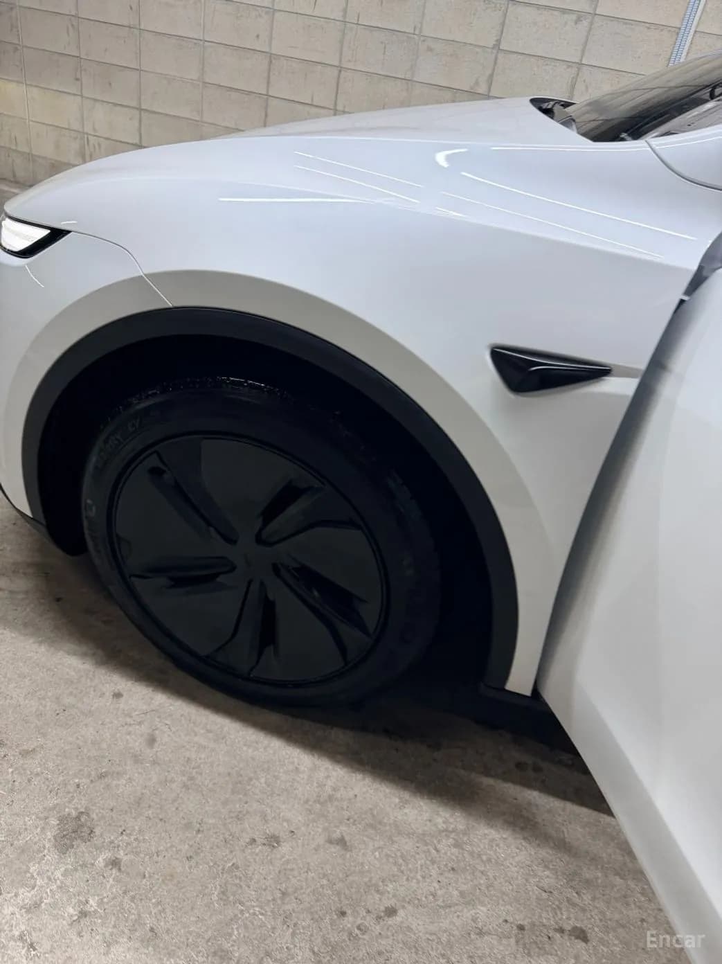 Model Y