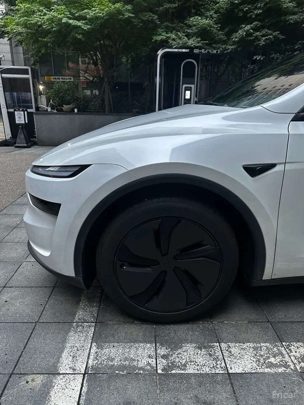 Model Y