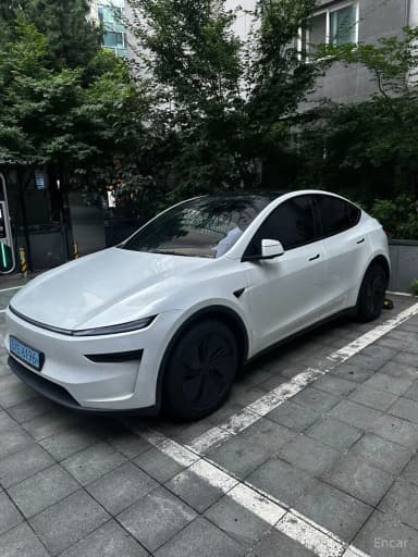 Model Y