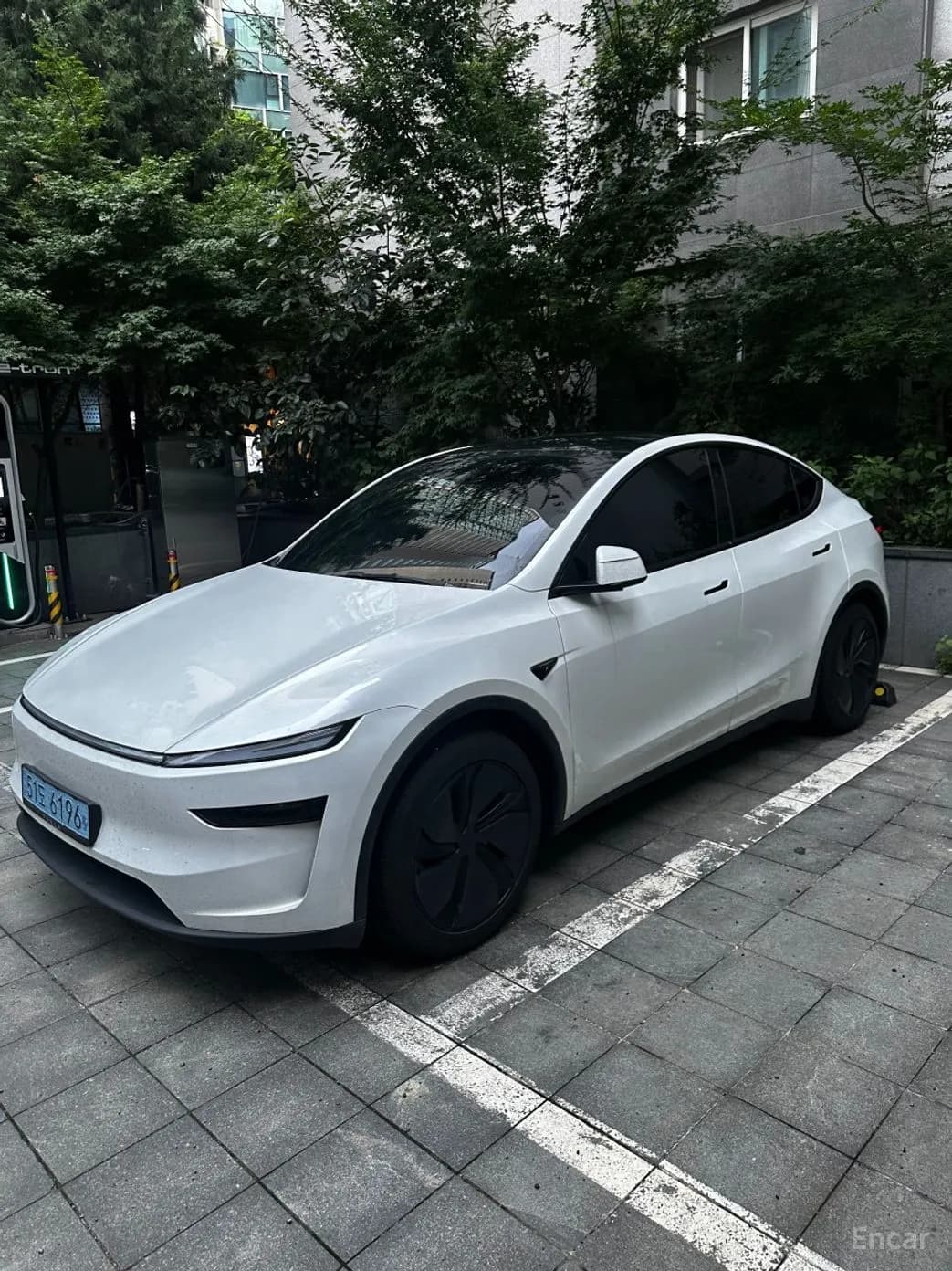 Model Y