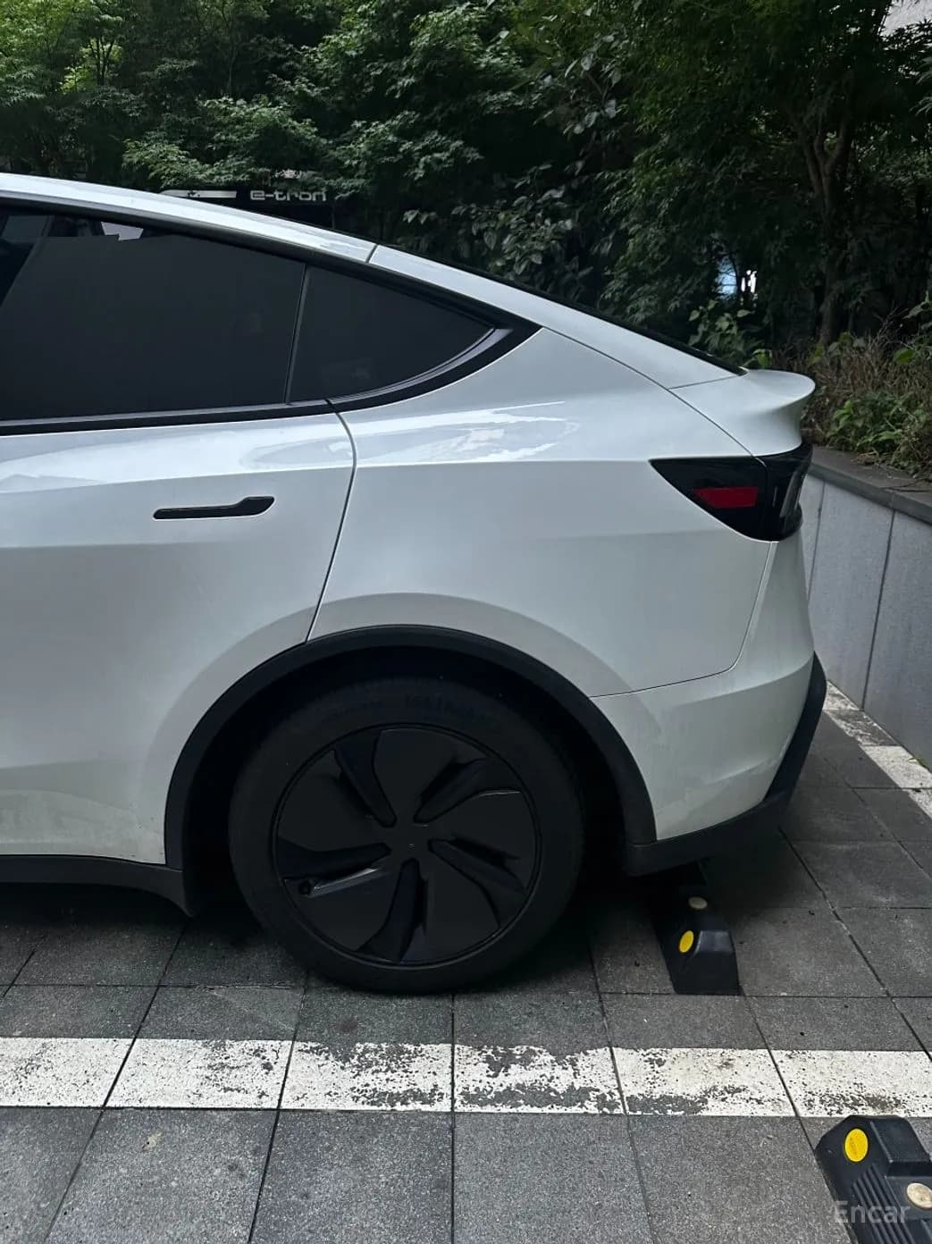 Model Y