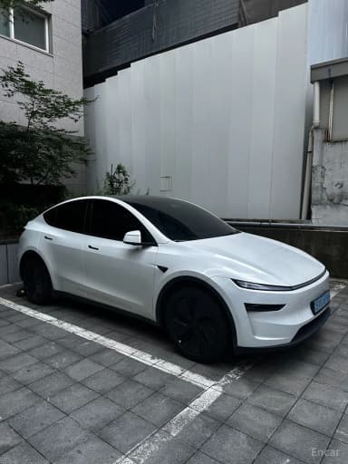 Model Y