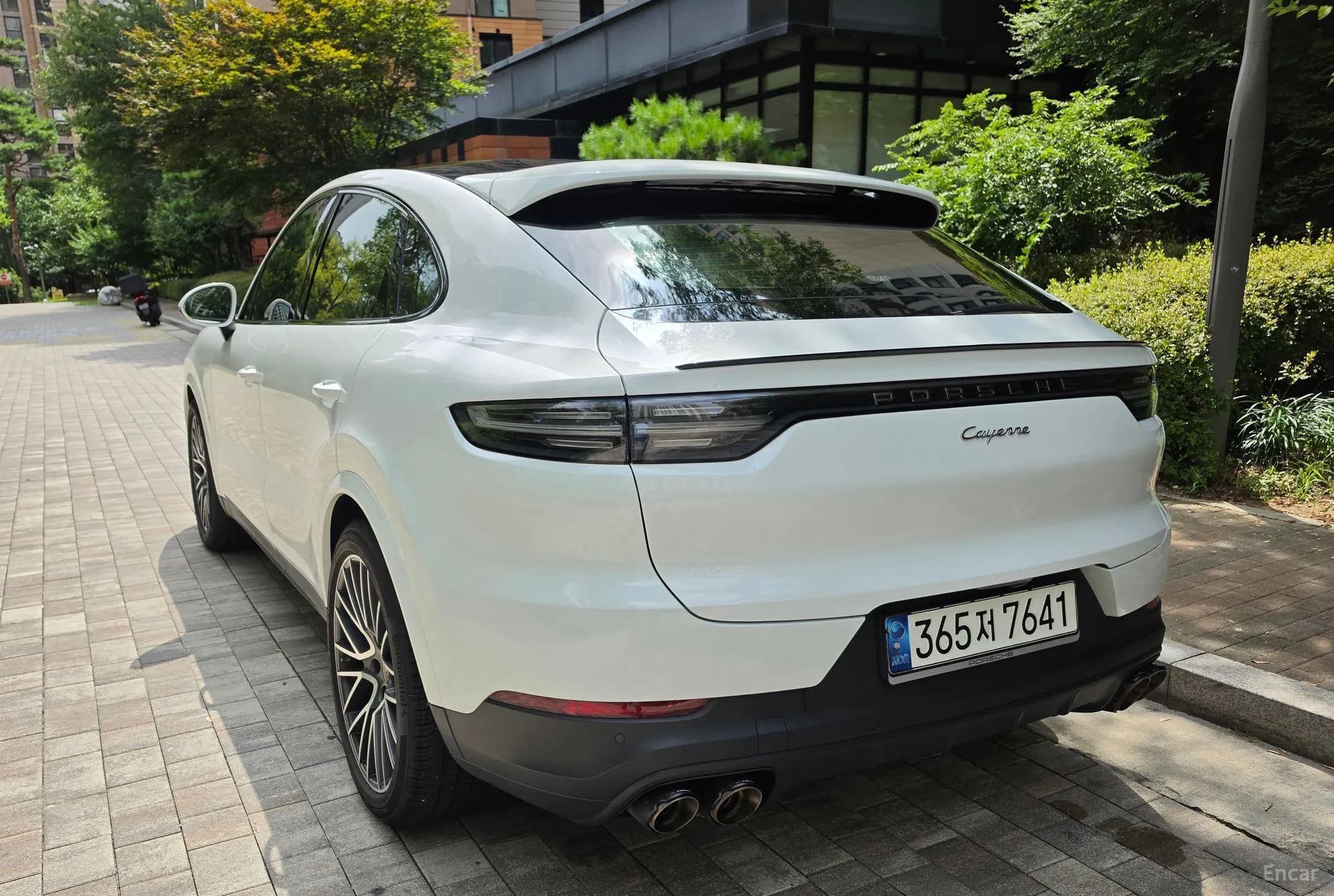 Cayenne (PO536)