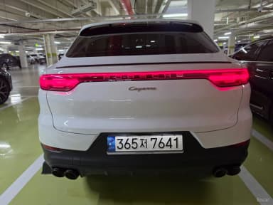 Cayenne (PO536)
