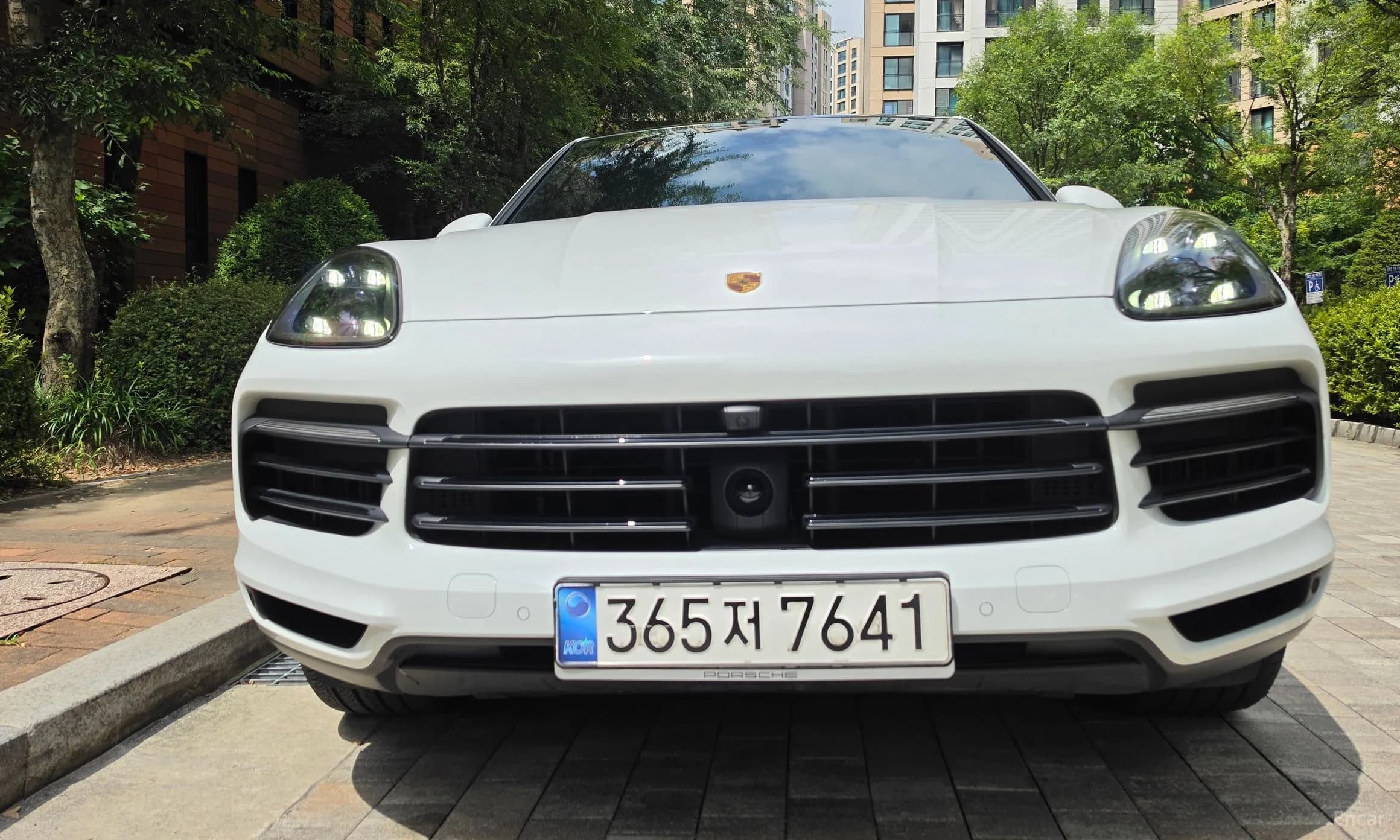 Cayenne (PO536)