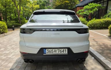 Cayenne (PO536)