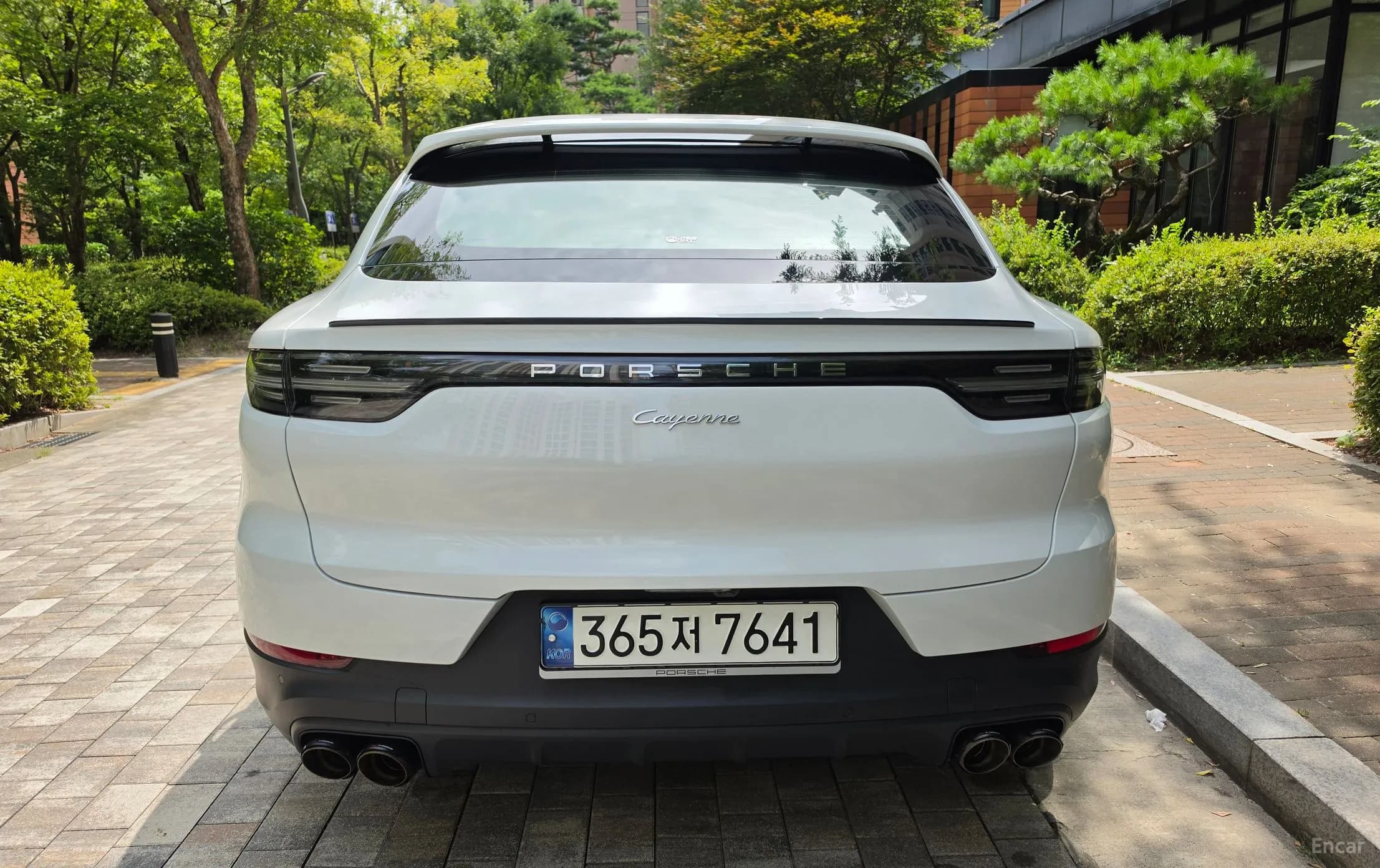 Cayenne (PO536)