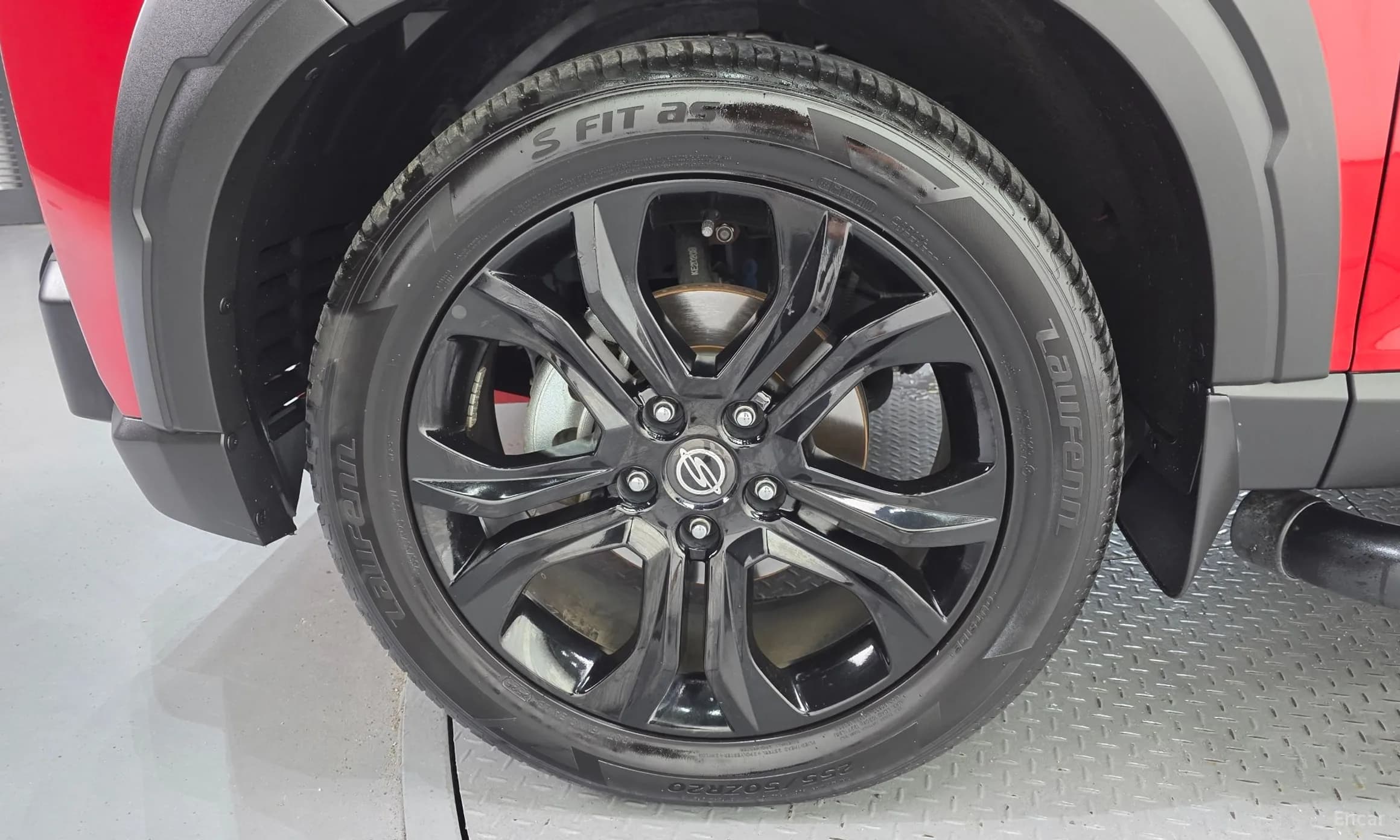 Rexton Sports