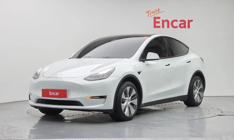 Model Y
