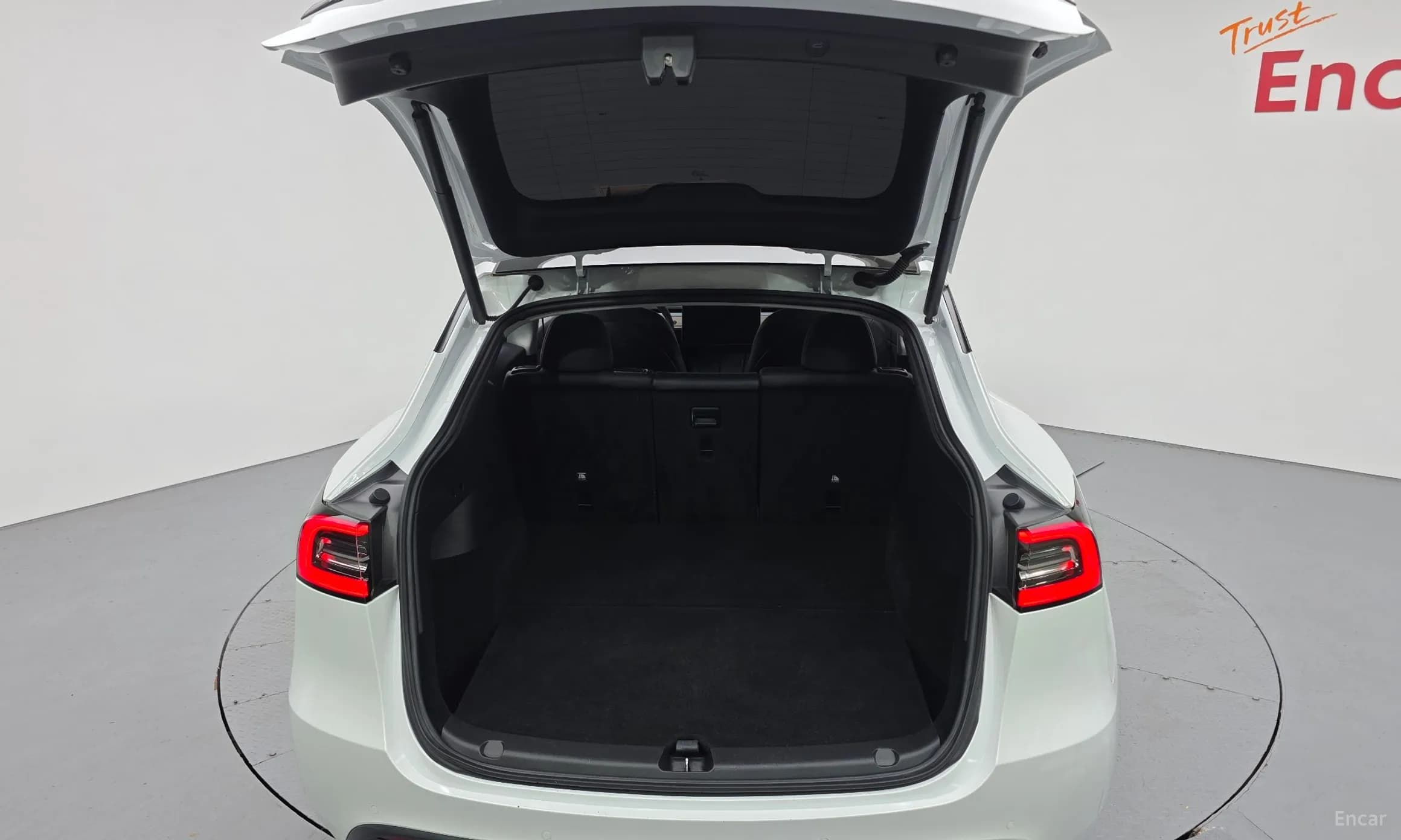 Model Y