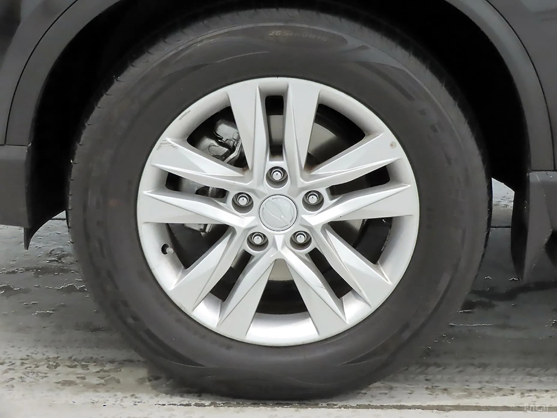 Rexton Sports