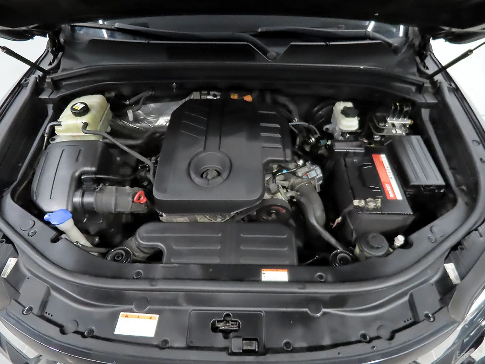 Rexton Sports