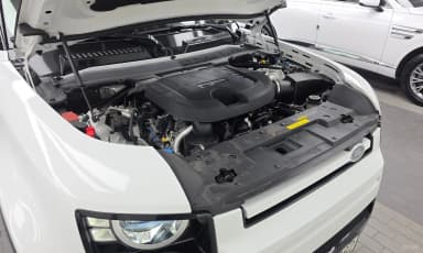 Defender (L663)