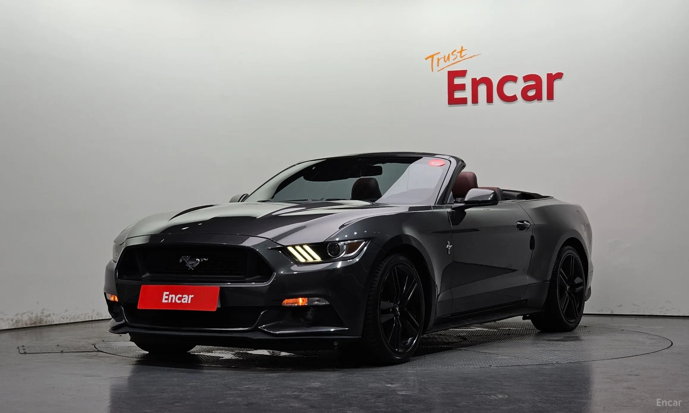 Mustang