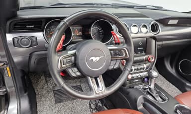 Mustang